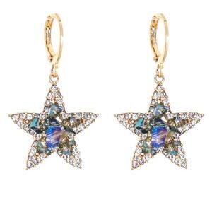 Star Crystal Huggie Earrings